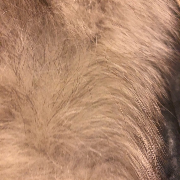 pennylane glamrock vintage jacket 30s 60s 90s - Picture 7 of 7